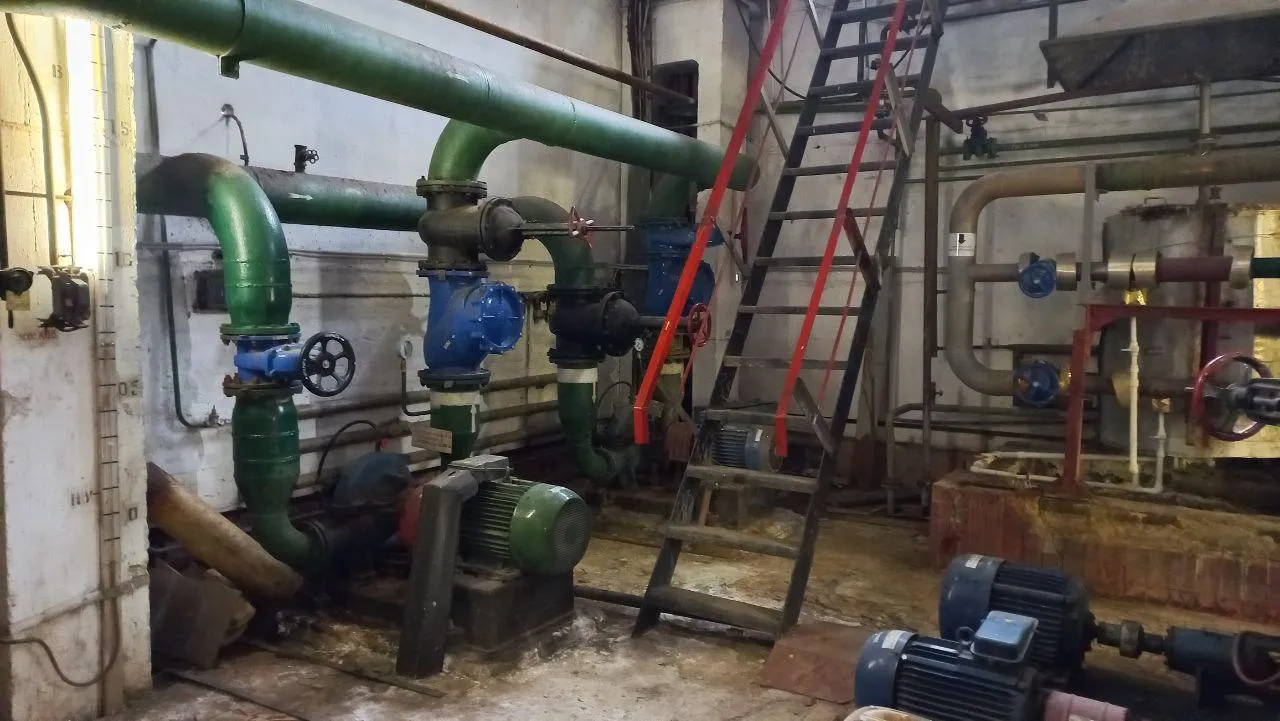 Фото: Олег Книжник