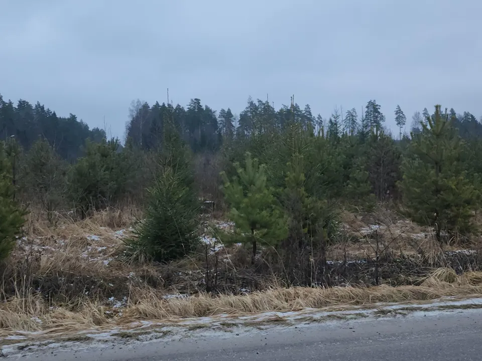 Фото: REGIONS/Роман Кутузов