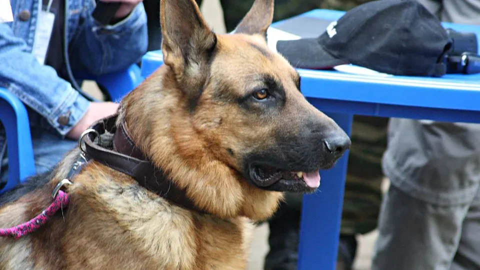 Фото: REGIONS/Максим Зубарев