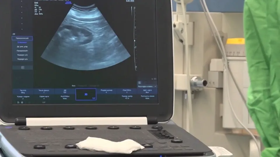 Фото: Раменский медиацентр