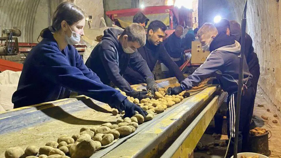 Фото: Министерство сельского хозяйства и продовольствия Московской области