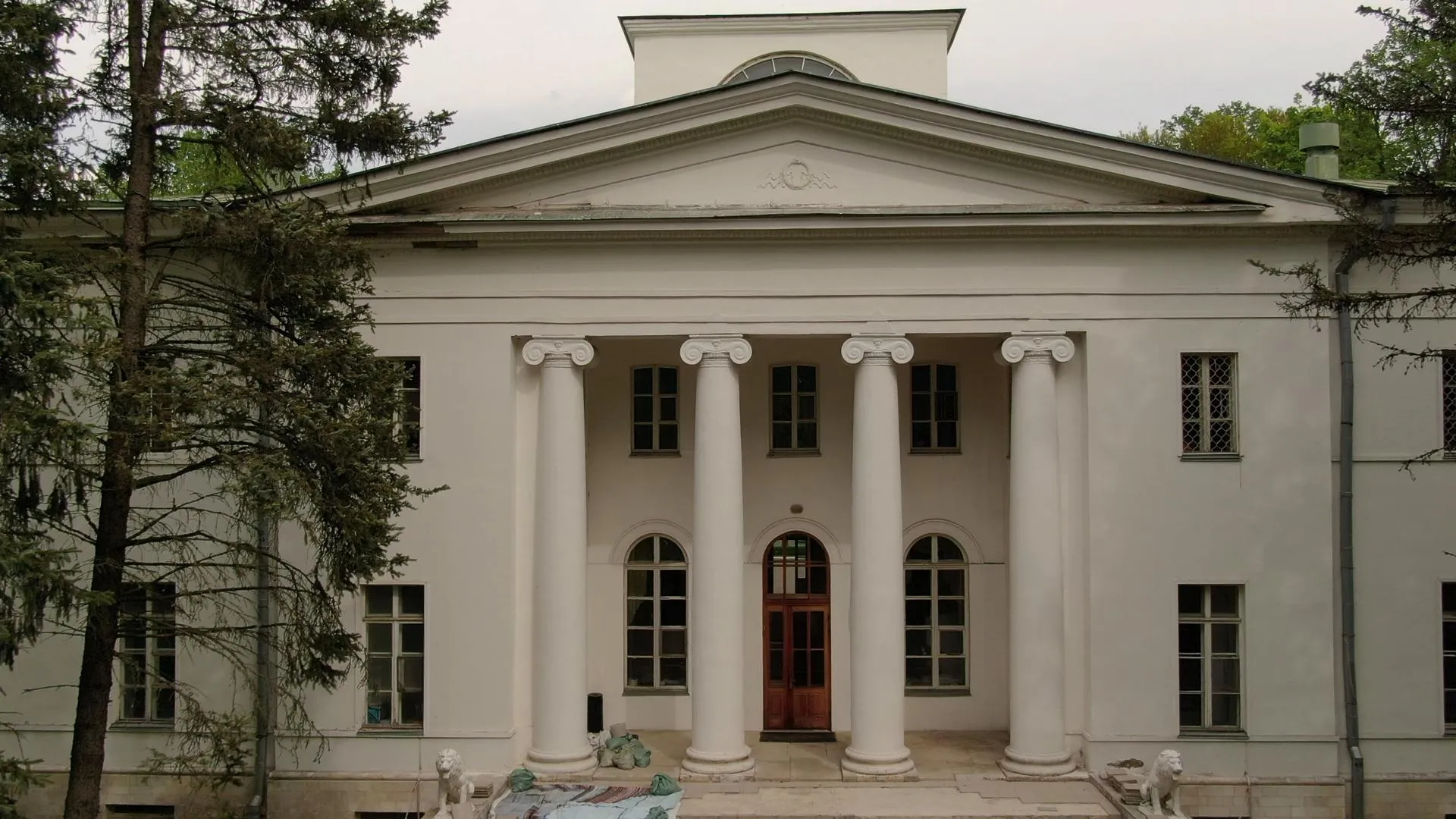 Дарья Московцева