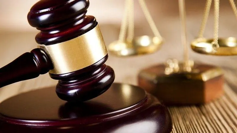 Минэкологии настаивает на возмещении 72-миллионного ущерба солнечногорским землям