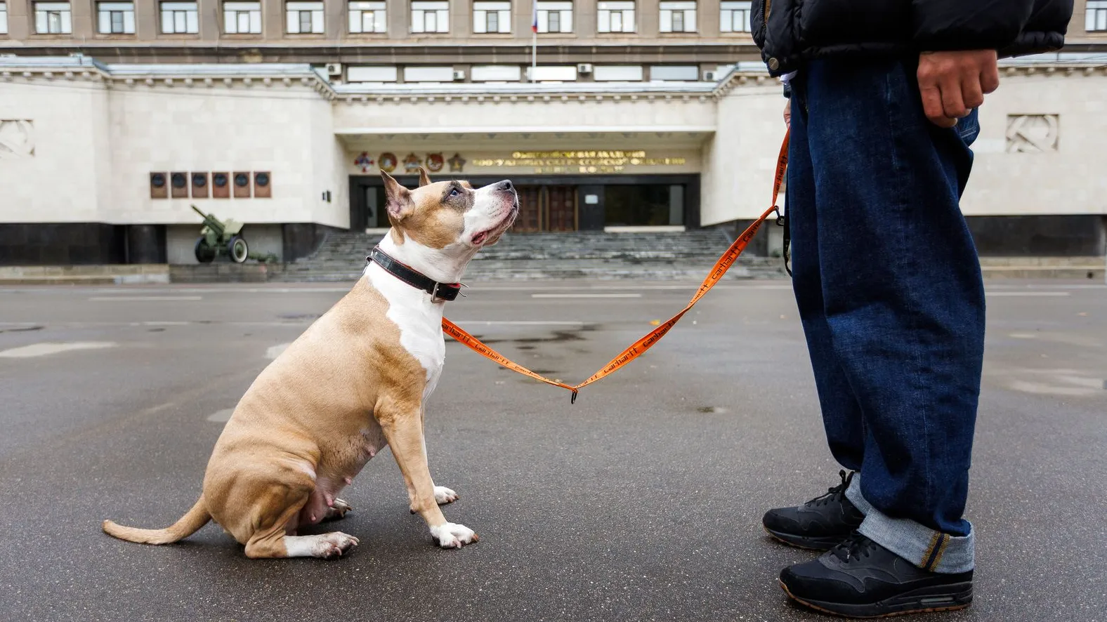 медиасток.рф