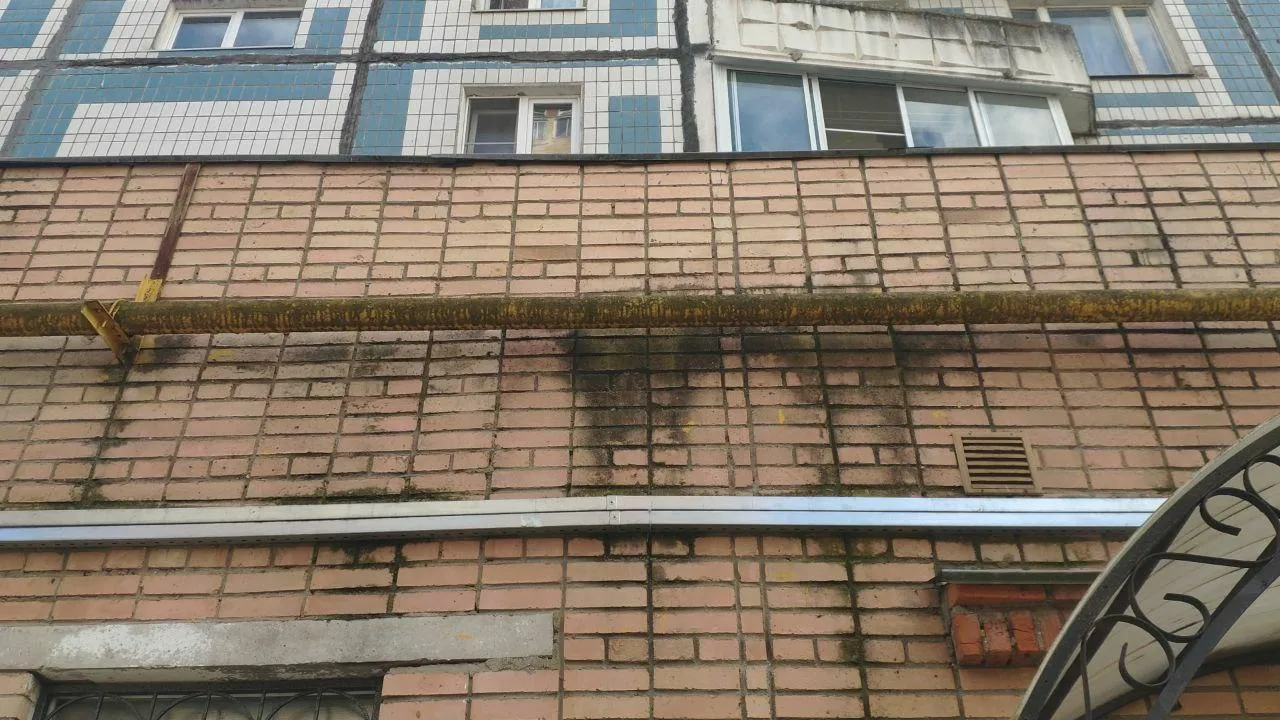 фото: Денис А.