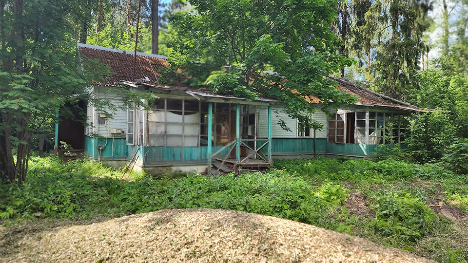 Фото: МедиаБанк Подмосковья/Роман Савельев