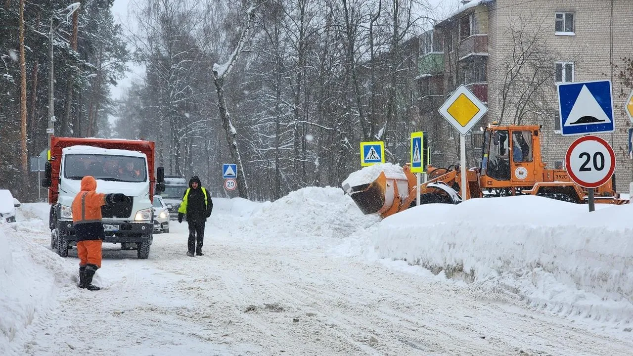 REGIONS/Анна Мороз