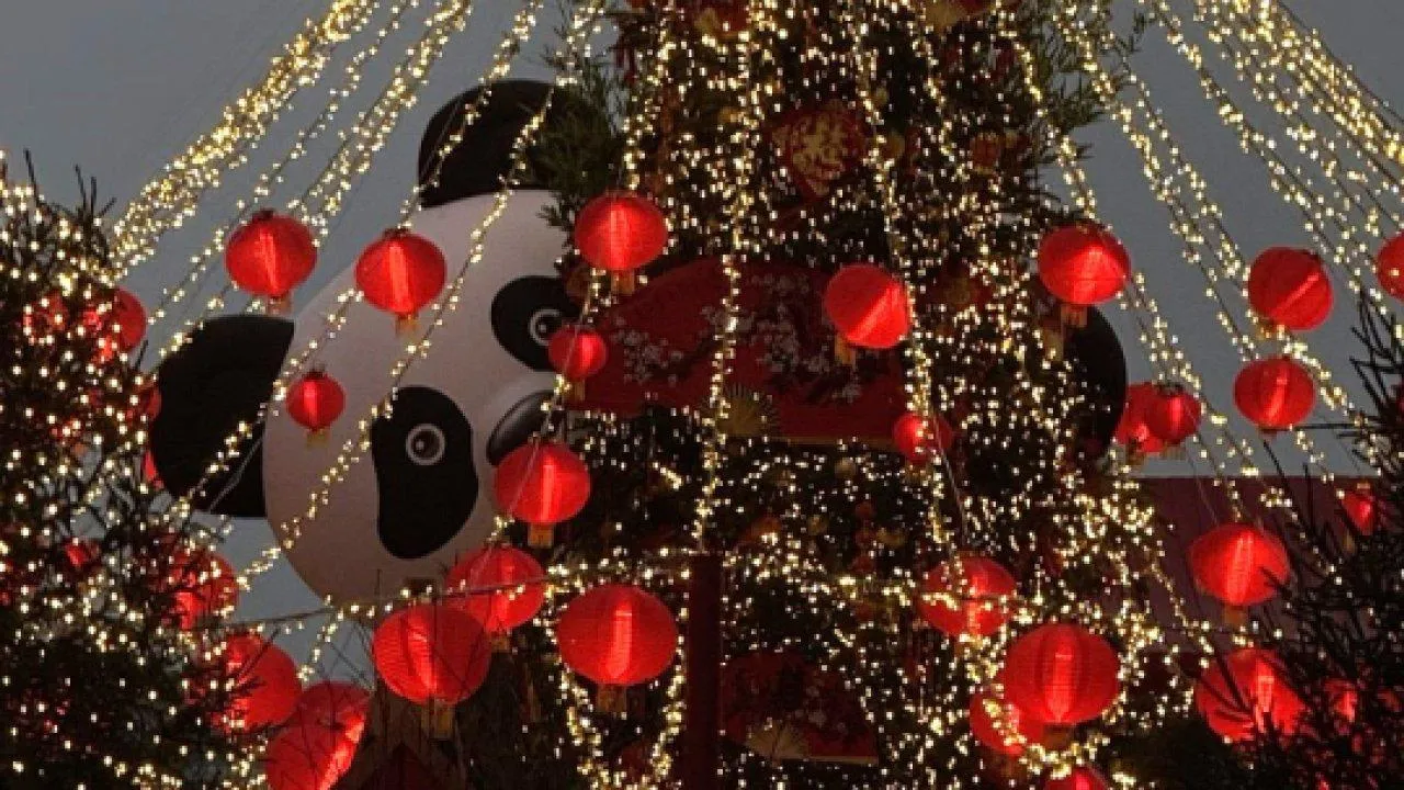 REGIONS/Дарина Левкина