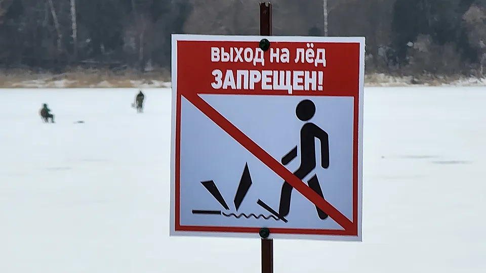 Фото: МедиаБанк Подмосковья/Екатерина Данилина