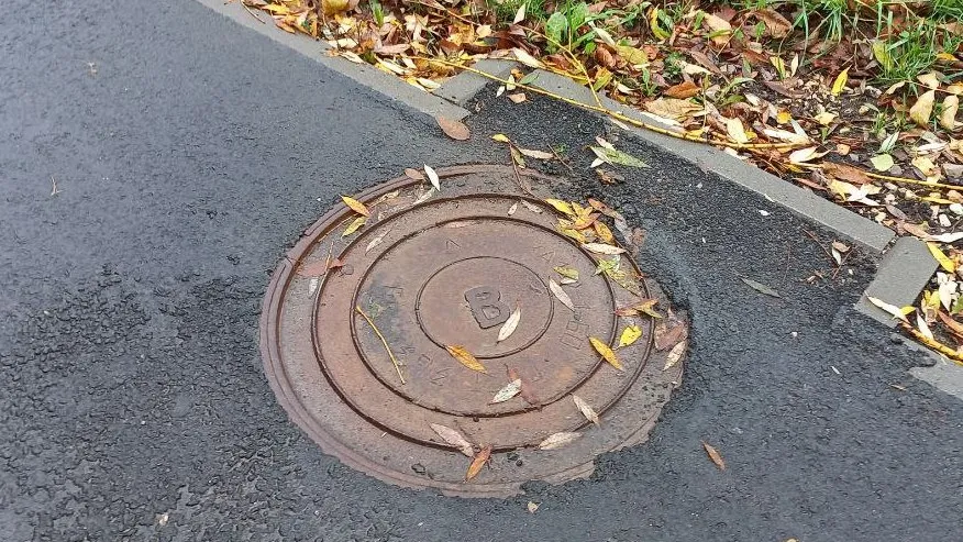 Фото: Олег Книжник