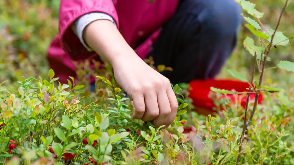 Фото: istockphoto.com