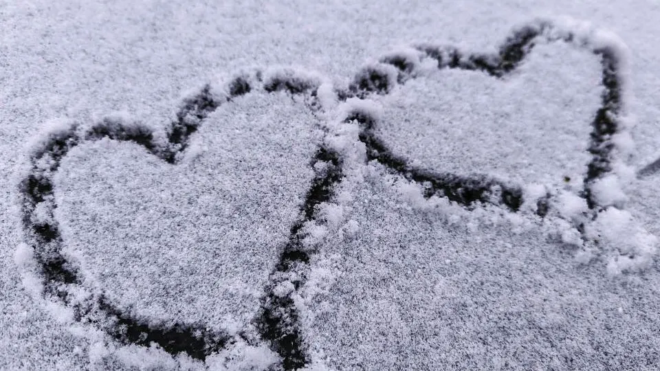 Фото: REGIONS/Роман Малышенко