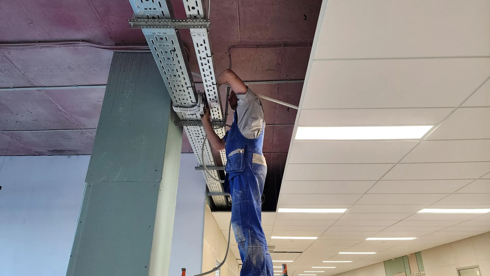 Фото: Ольга Фельдфебелева