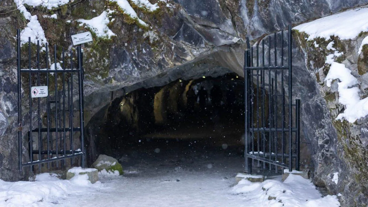 Почему спиртное на морозе не согревает: объяснение врача