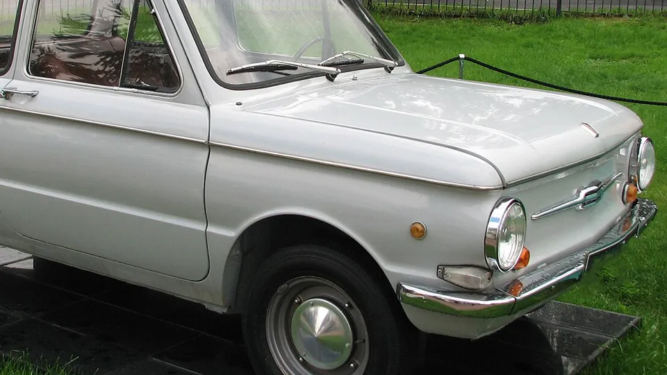 Фото: сommons.wikimedia/Steven Pavlov