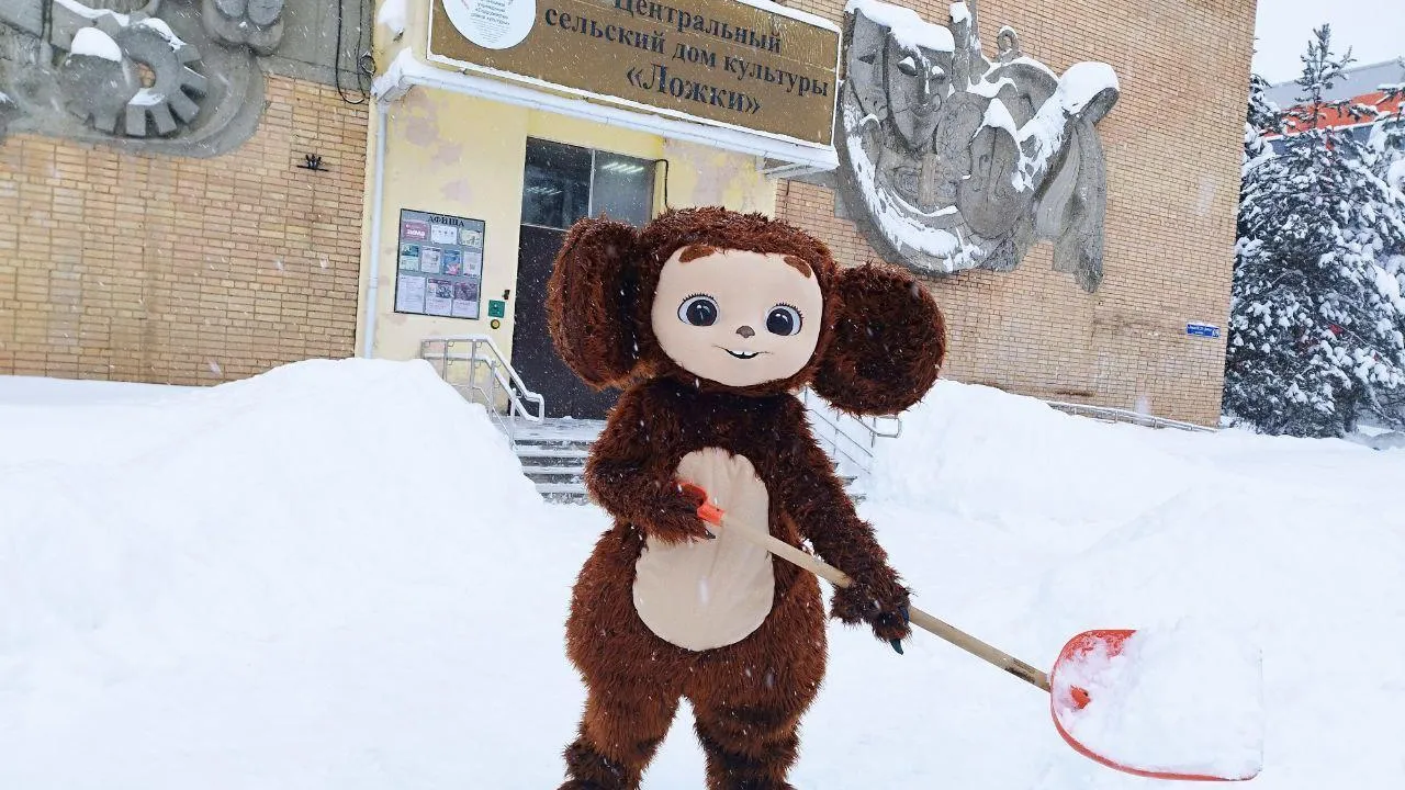 МедиаБанк Подмосковья/Ирина Кузова