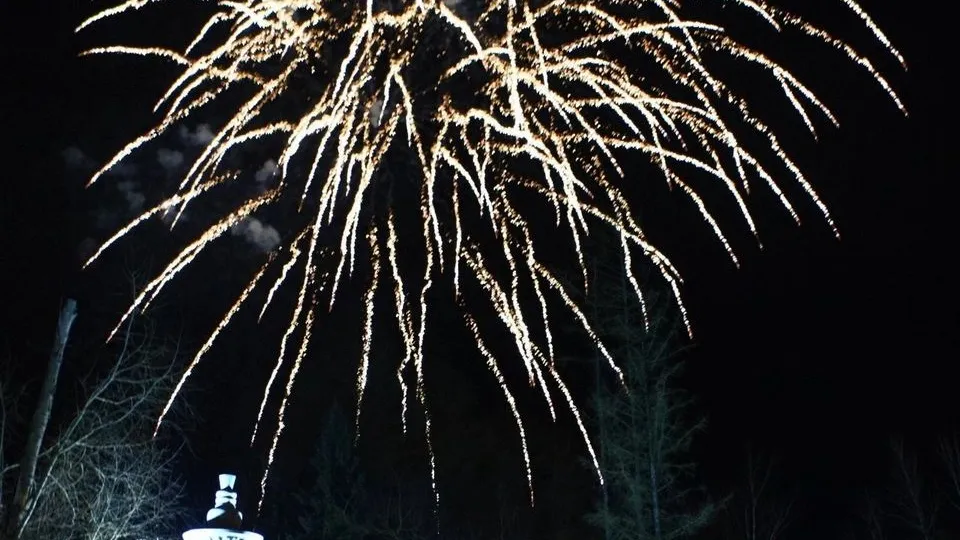 Фото: МедиаБанк Подмосковья/Светлана Плотникова