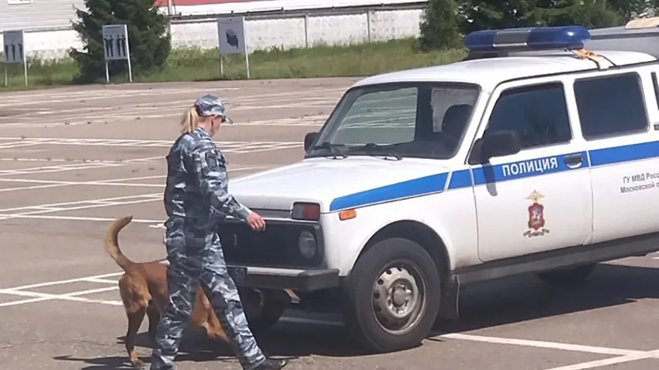 Фото: ЦКС УМВД России по Дмитровскому городскому округу