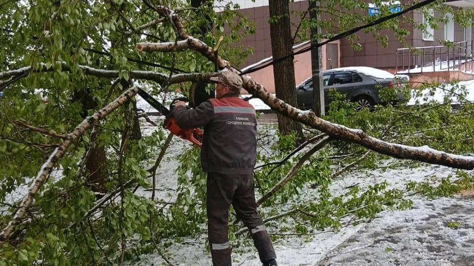 Фото: Администрация г.о. Клин