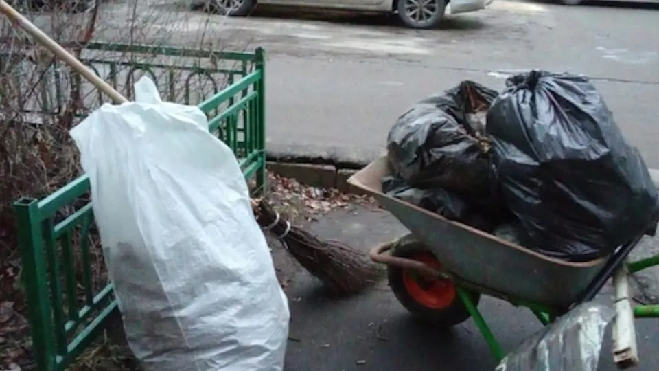 Фото: администрация г.о. Чехов