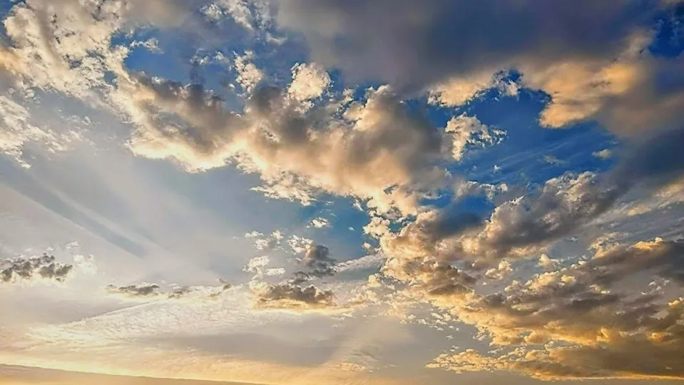 Фото: REGIONS/Алексей Селиверстов