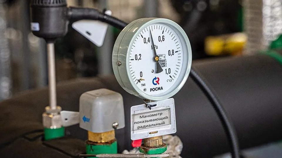 Фото: пресс-служба губернатора и правительства Московской области