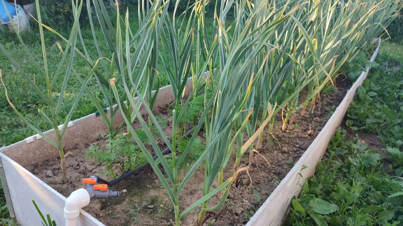 Фото: Елена Забелина