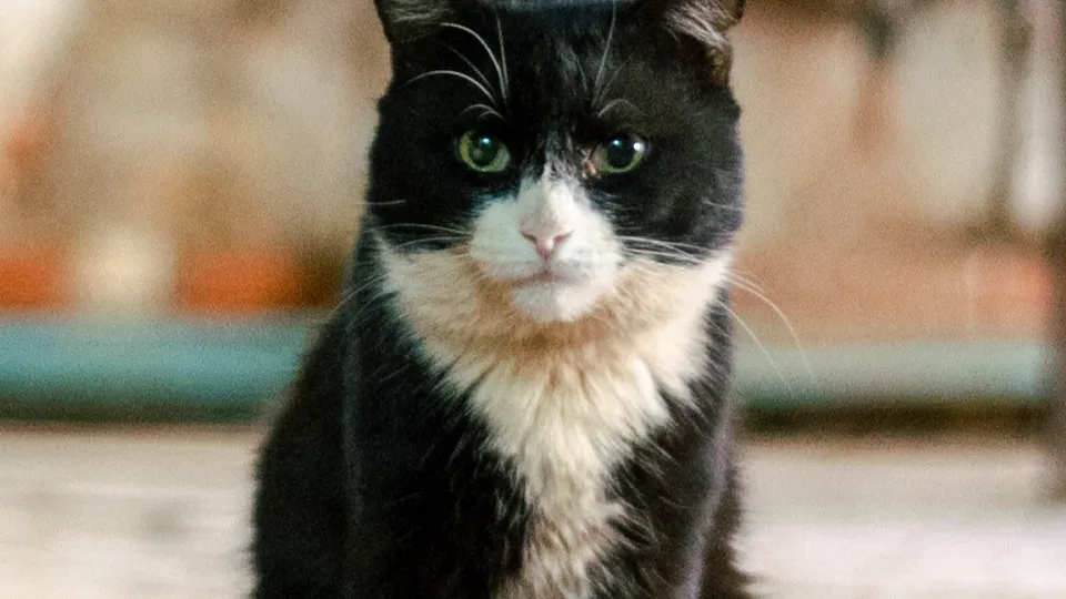 Фото: REGIONS/Наталия Надточая