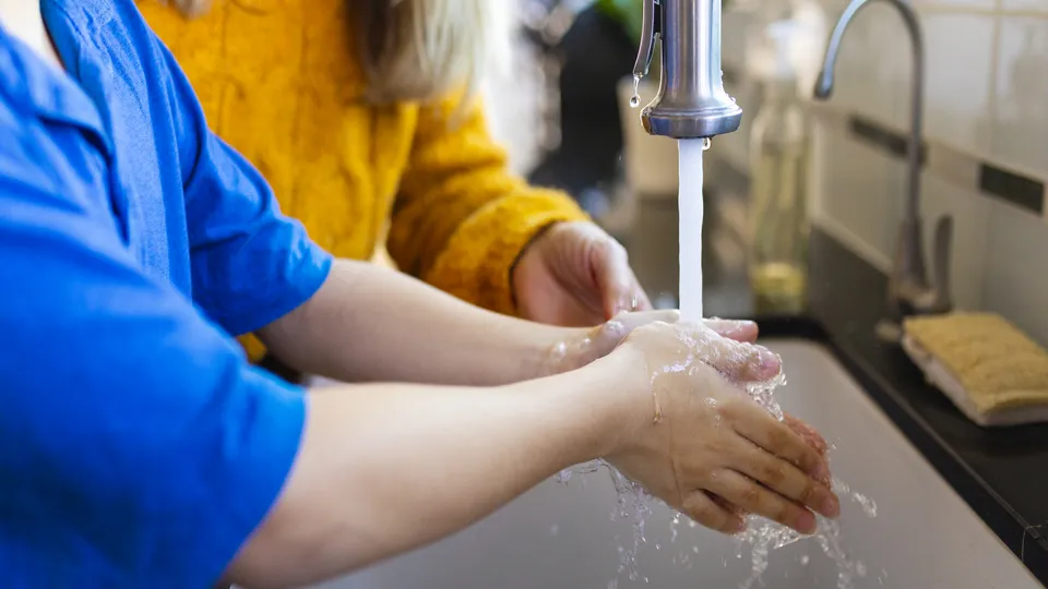 Фото: freepik.com