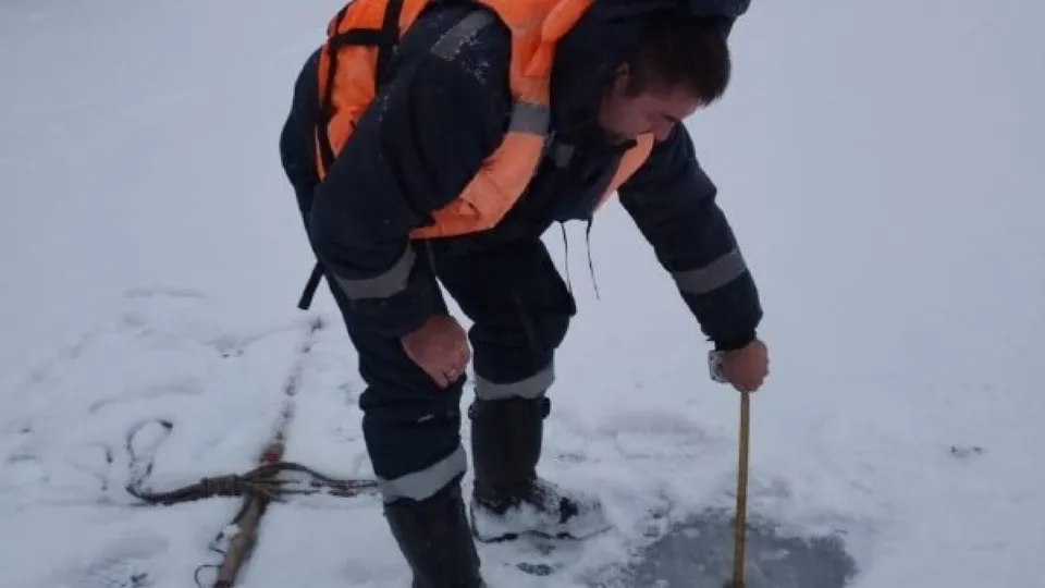 Фото: Администрация г.о. Чехов