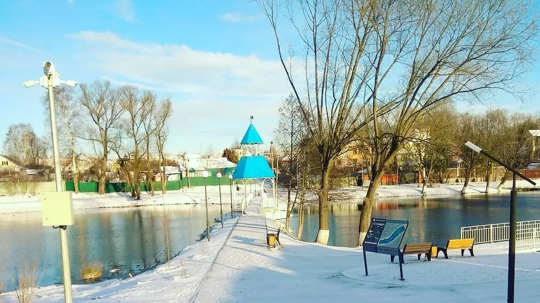 Фото: Бронницы-онлайн