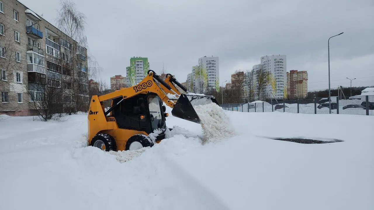 REGIONS/Валерия Тингаева