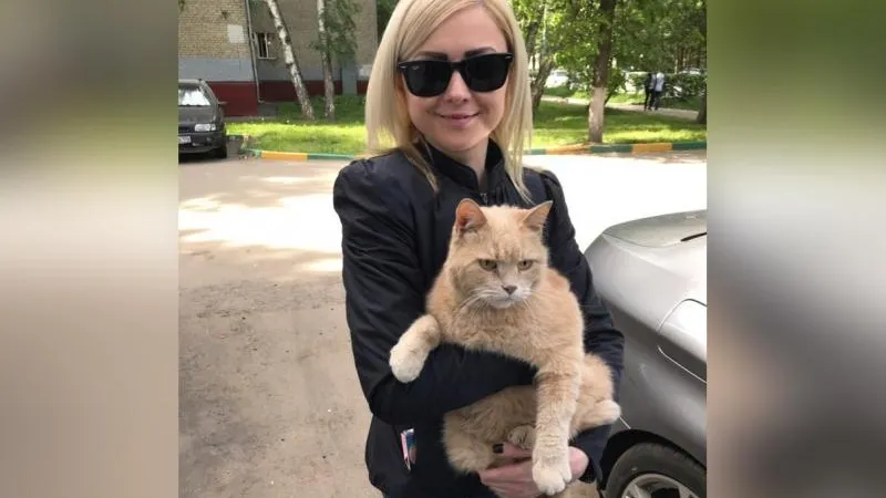 Типичные Химки/vk.com