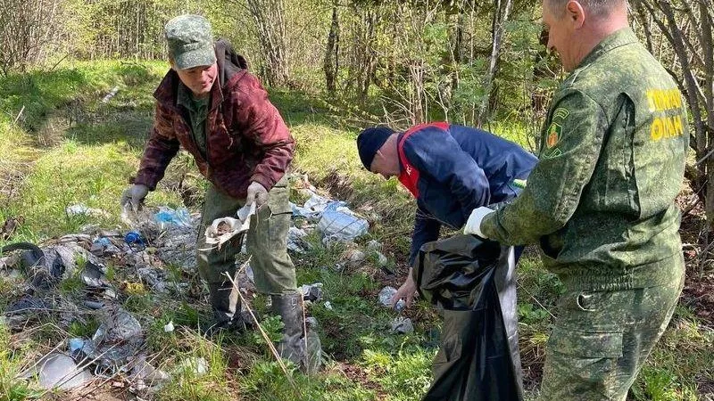 Навалы мусора ликвидировали в Волоколамском лесничестве в рамках акции «Чистое Подмосковье»