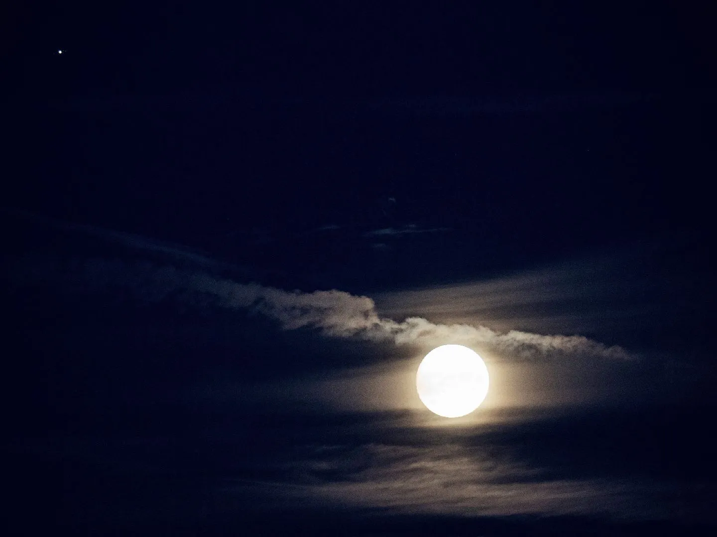 Фото: Медиабанк Подмосковья/Мария Панина