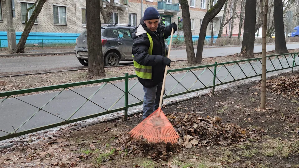 Фото: МедиаБанк Подмосковья/Наталья Лымарь