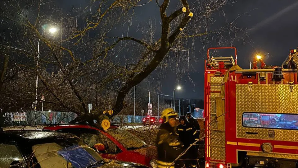 Фото: пресс-служба администрации г.о. Лобня