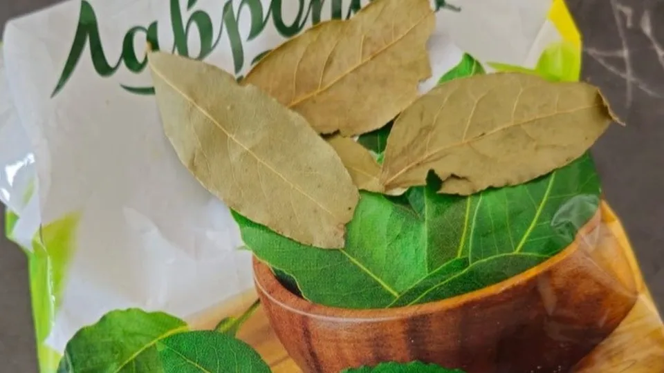 Фото: REGIONS/Наталия Надточая