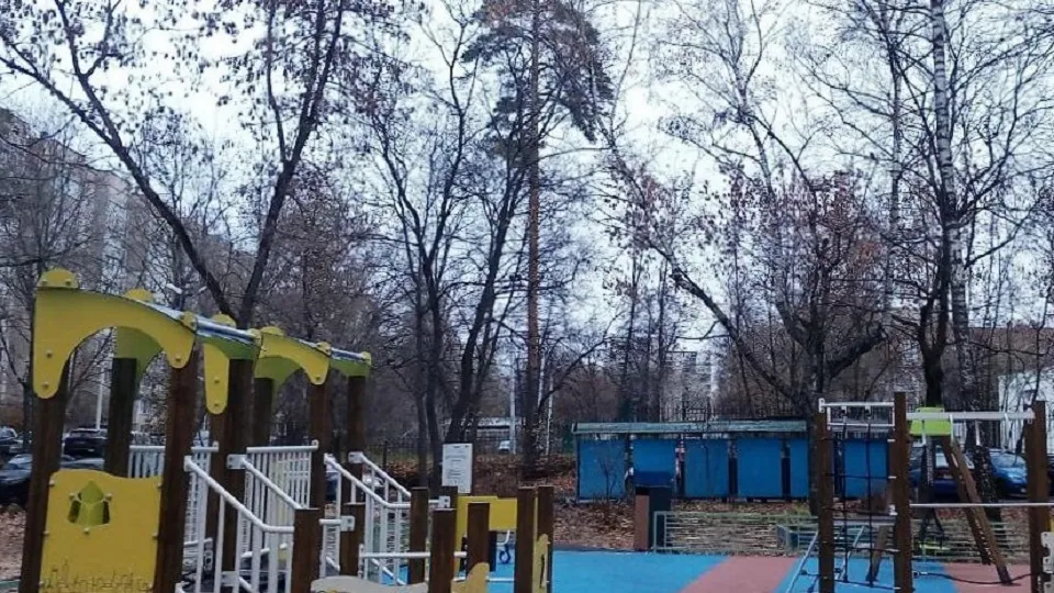 Фото: пресс-служба администрации Г. о. Пушкинский