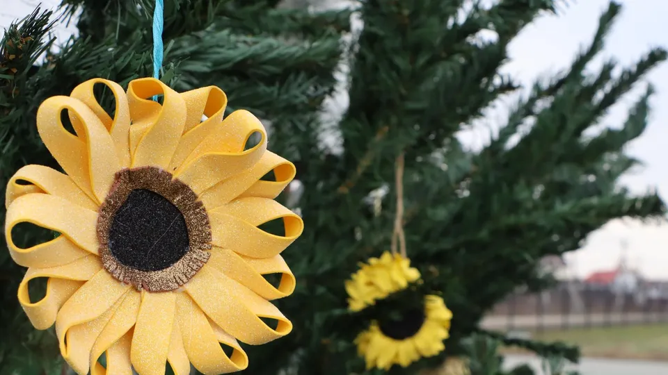 Фото: МедиаБанк Подмосковья/Ирина Матвеева