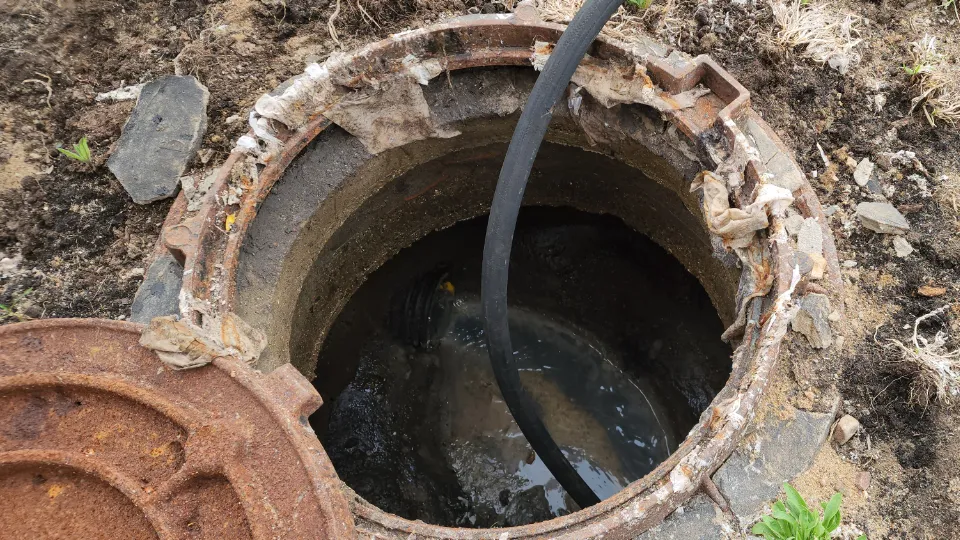 Фото: МедиаБанк Подмосковья/Валерия Тингаева