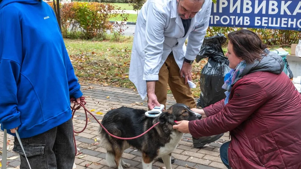 Фото: пресс-служба Администрации г.о. Реутов