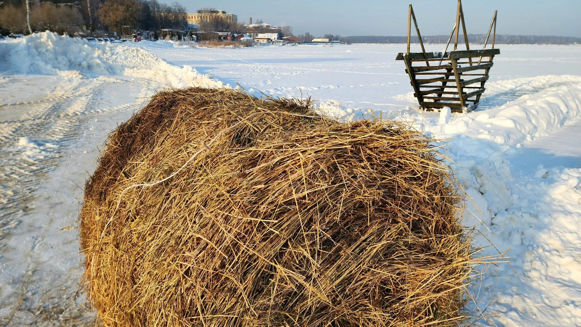Фото: МедиаБанк Подмосковья/Юлия Унрау