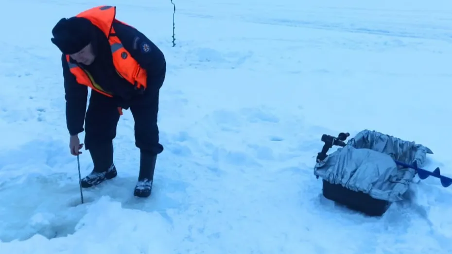 Фото: пресс-служба ГКУ «Мособлпожспас»