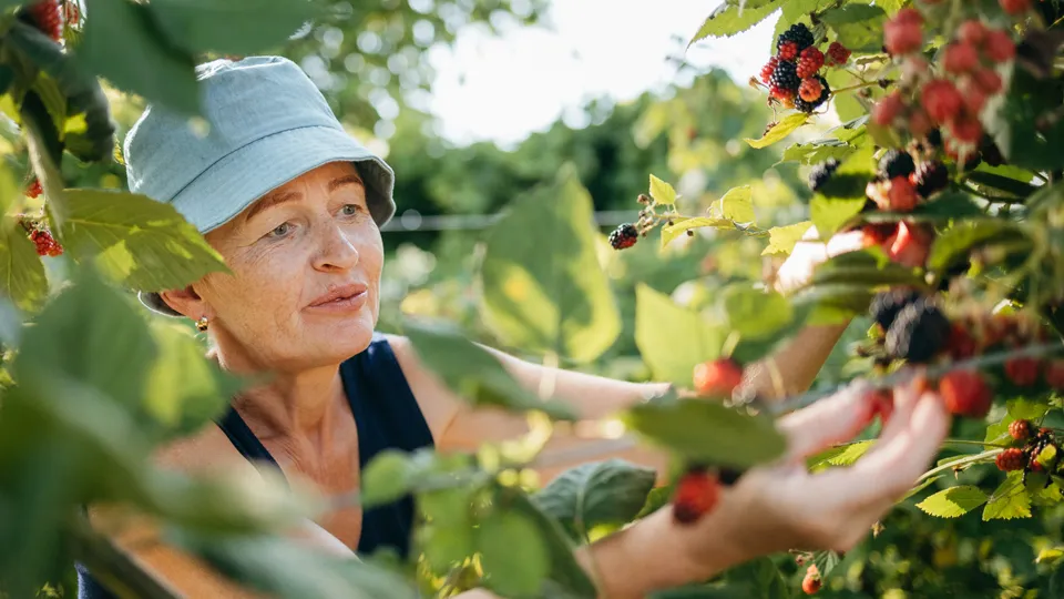 Фото: istockphoto.com