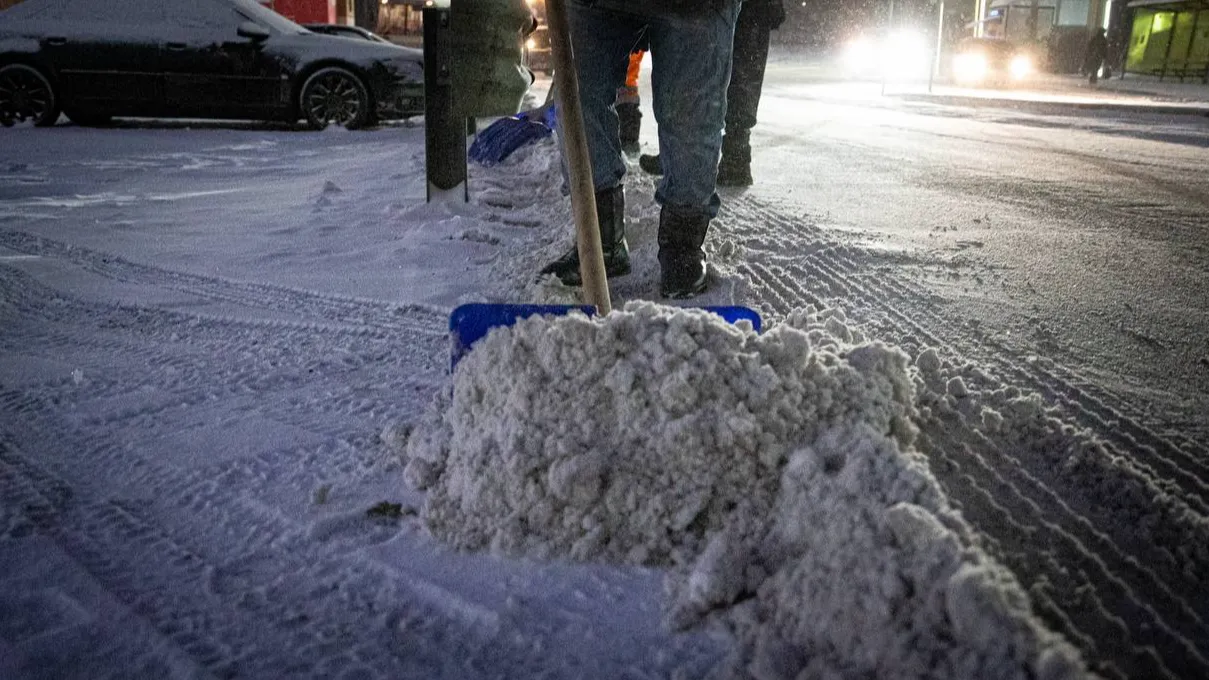 Фото: пресс-служба губернатора Московской области