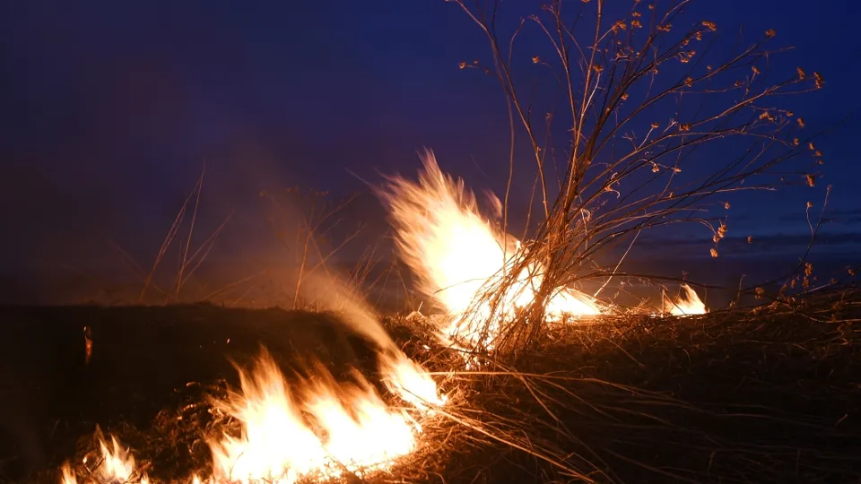 Фото: РИА Новости/Александр Кряжев