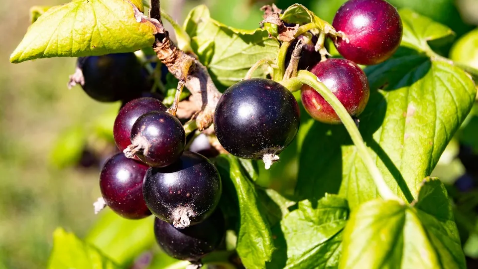 Фото: unsplash.com