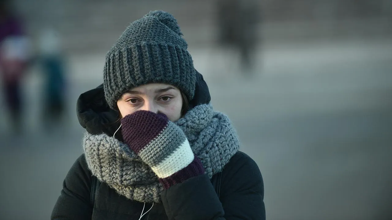 медиасток.рф