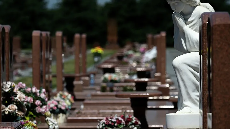 Фото: РИА Новости/Владимир Астапкович